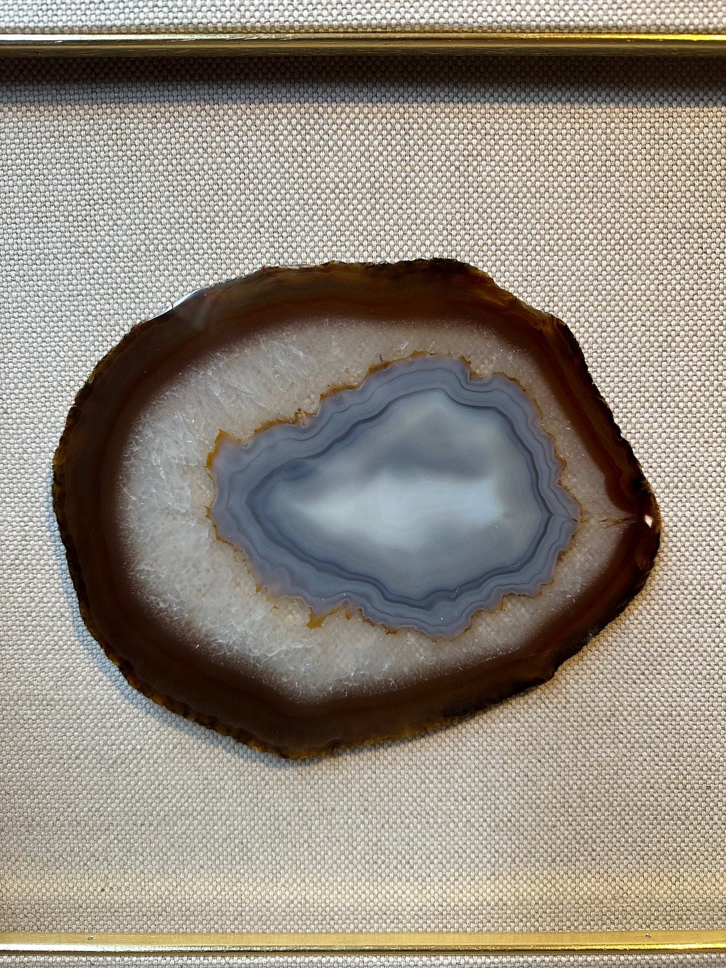 NATURE IN ICTURE NP 5052