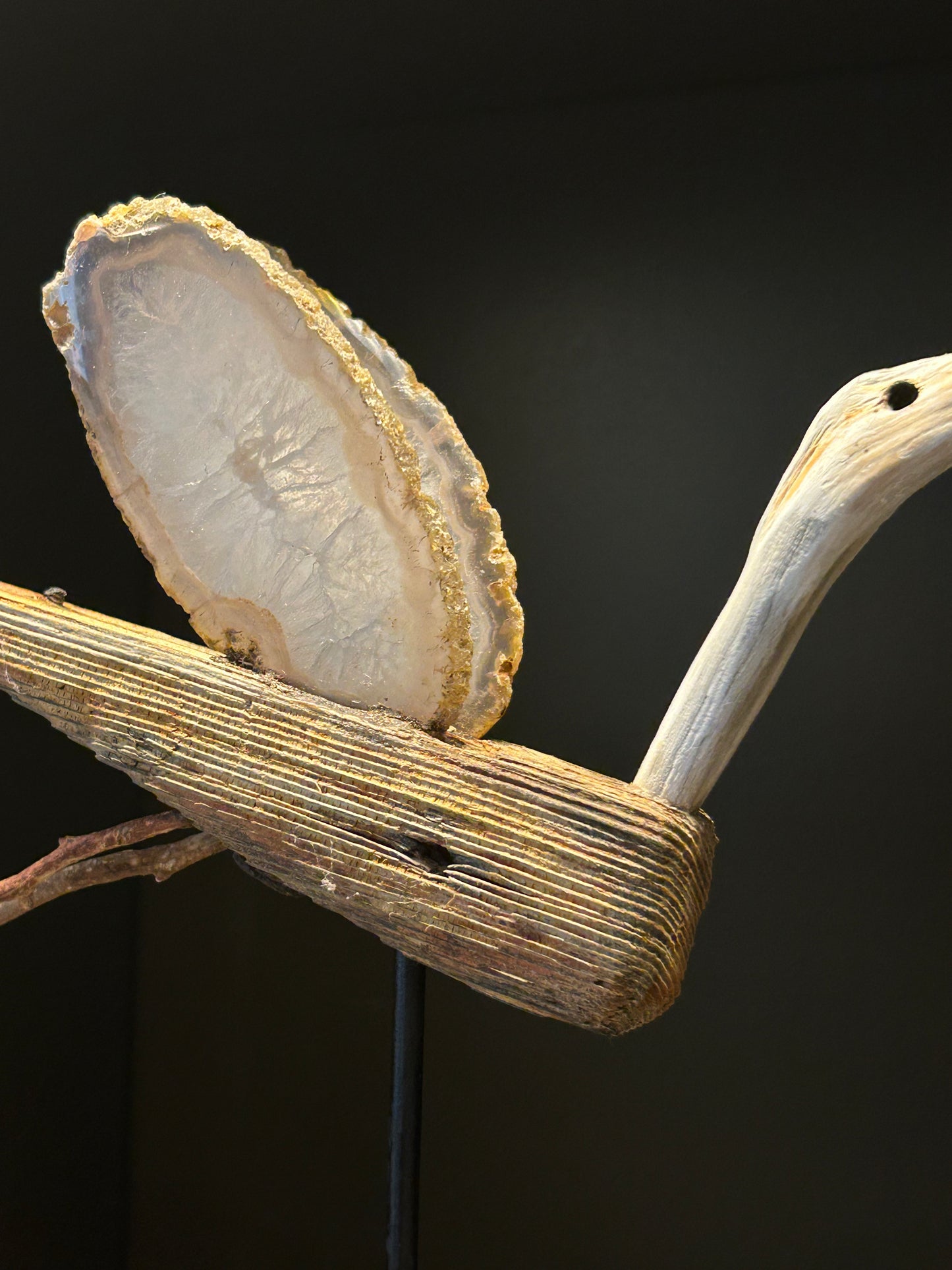 THE VOLARE COLLECTION código VC 133