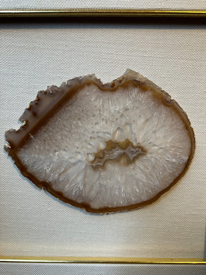 NATURE IN PICTURE NP 5053