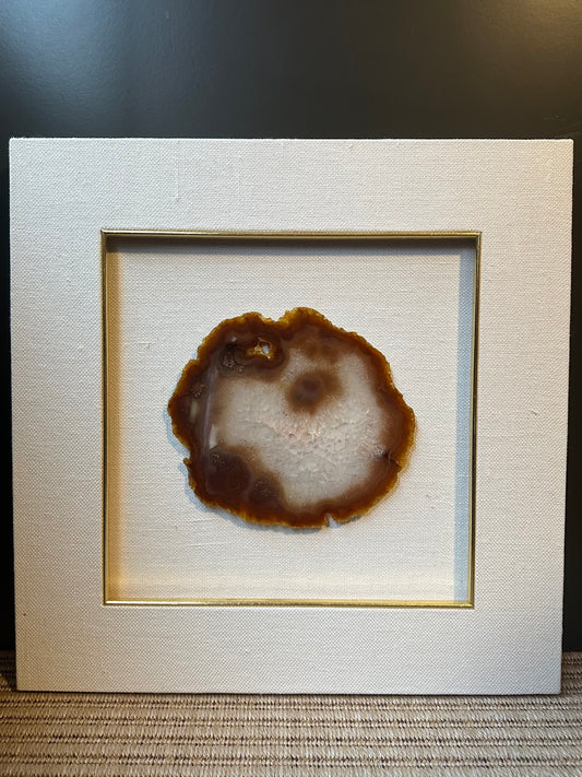 NATURE IN PICTURE NP 5054