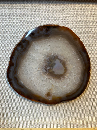 NATURE IN PICTURE NP 5051