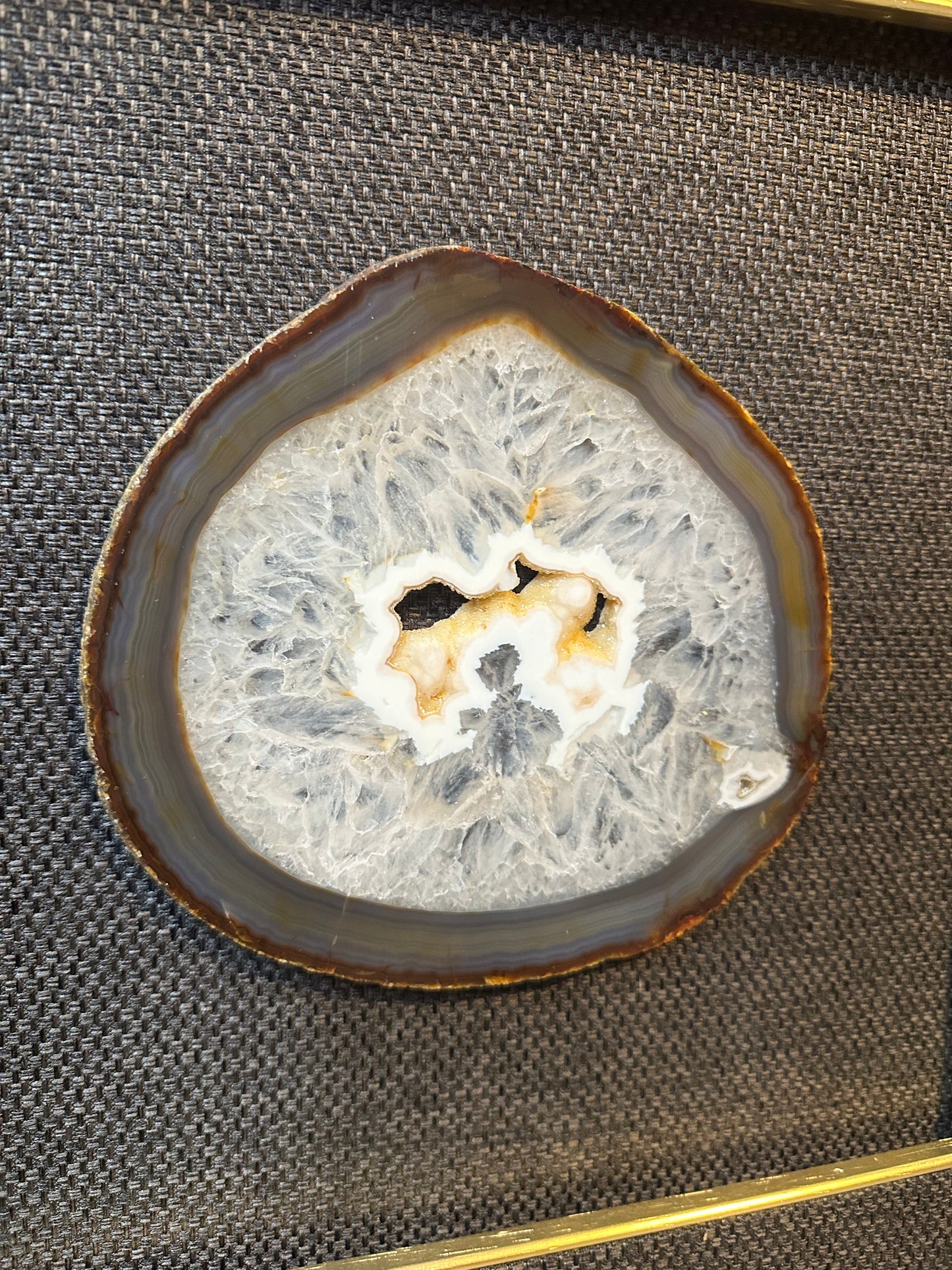 NATURE IN PICTURE NP 5049