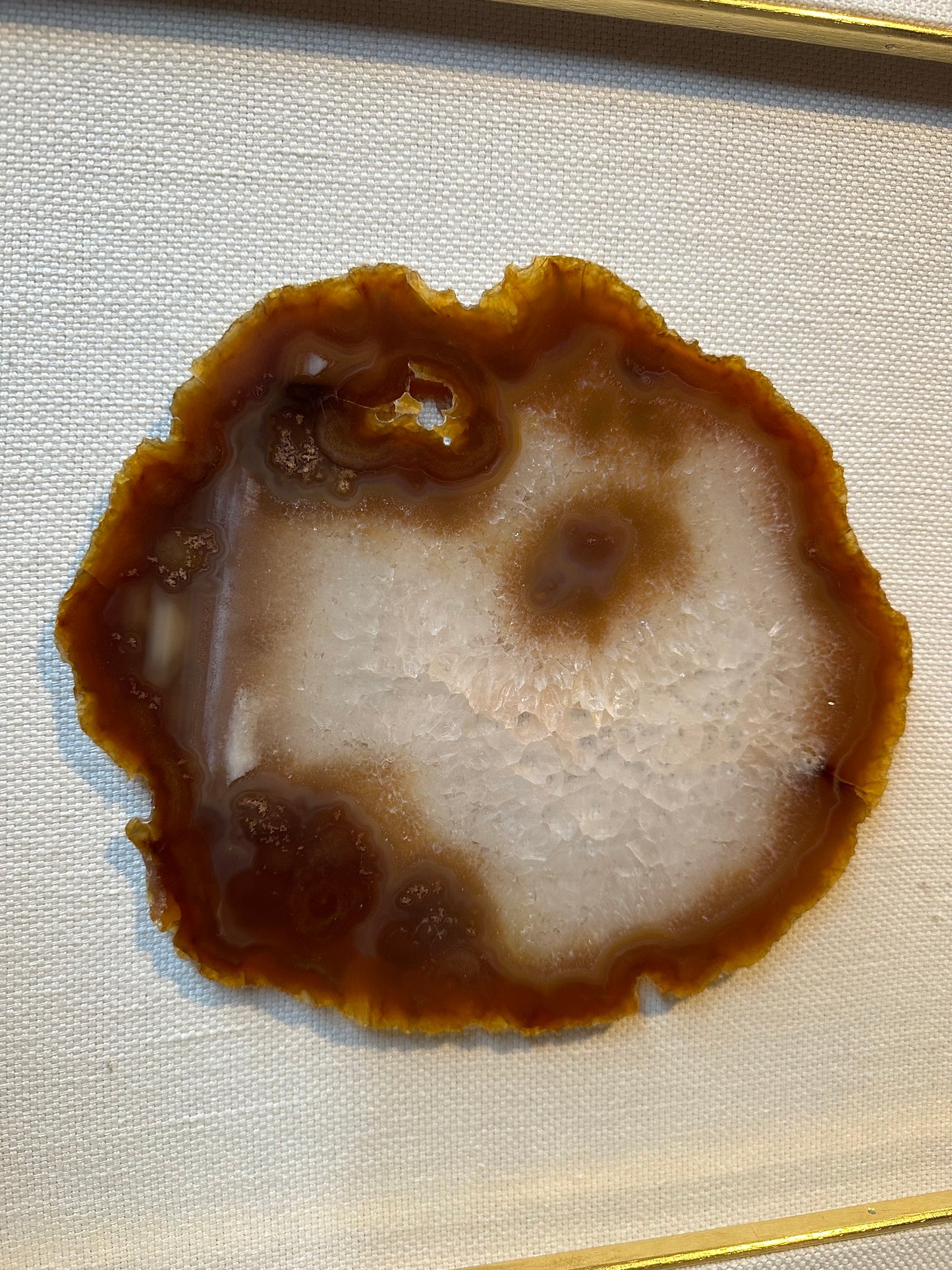 NATURE IN PICTURE NP 5054