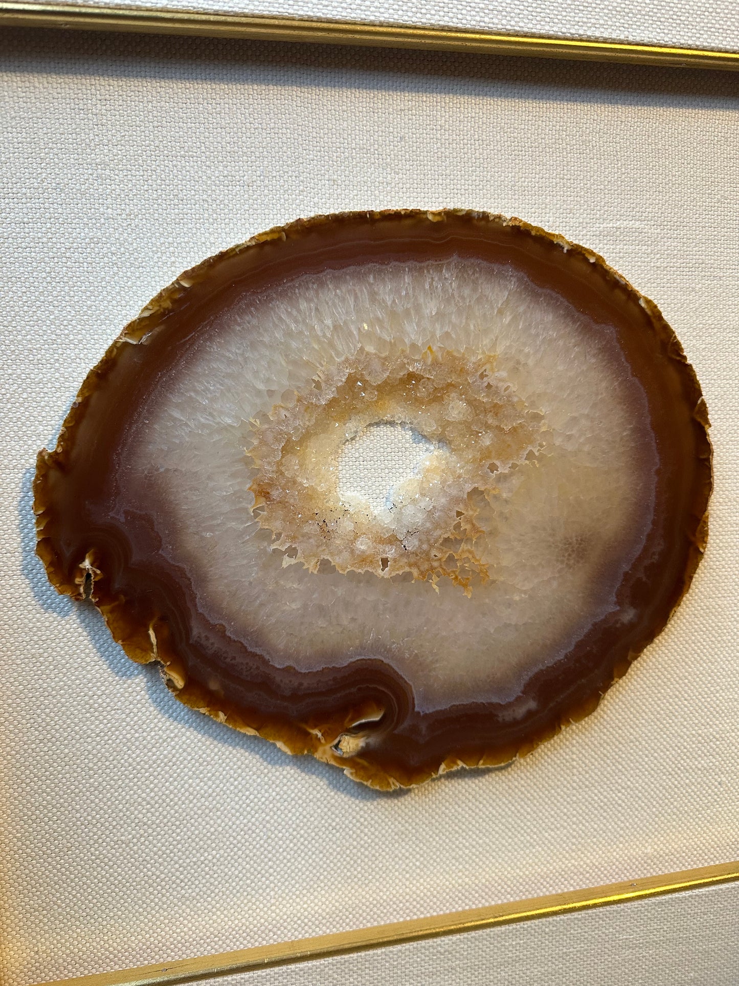 NATURE IN PICTURE NP 5055