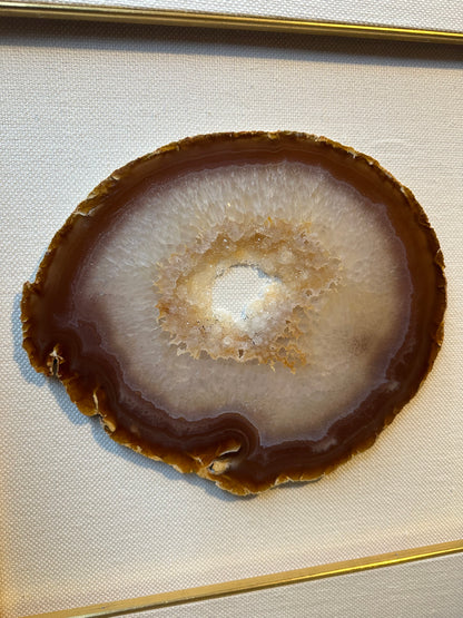 NATURE IN PICTURE NP 5055