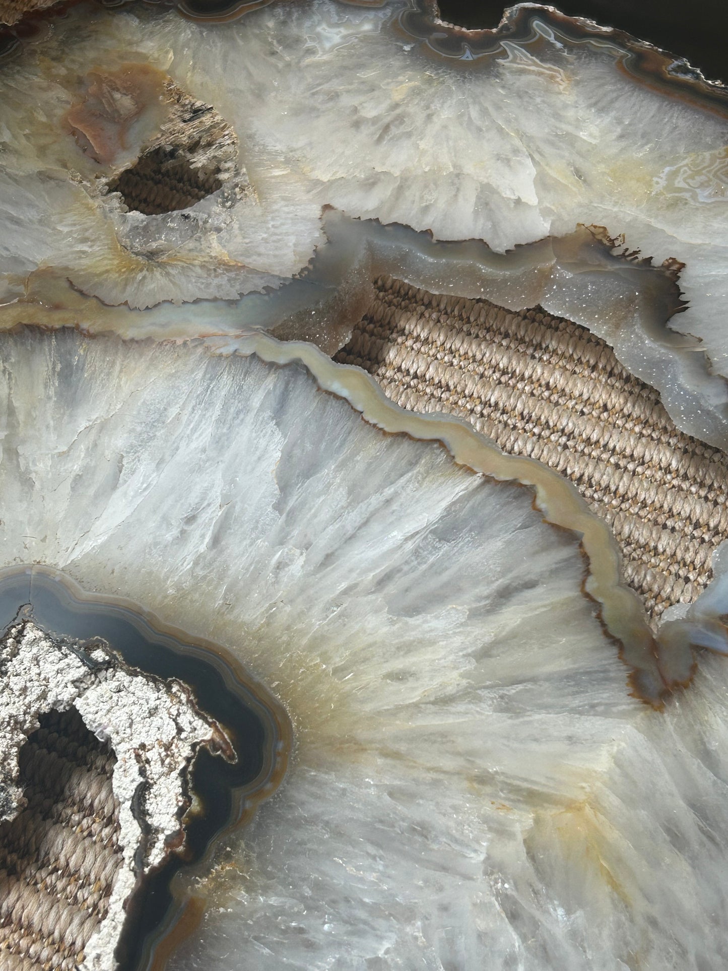 CENTER PIECES PU 11086