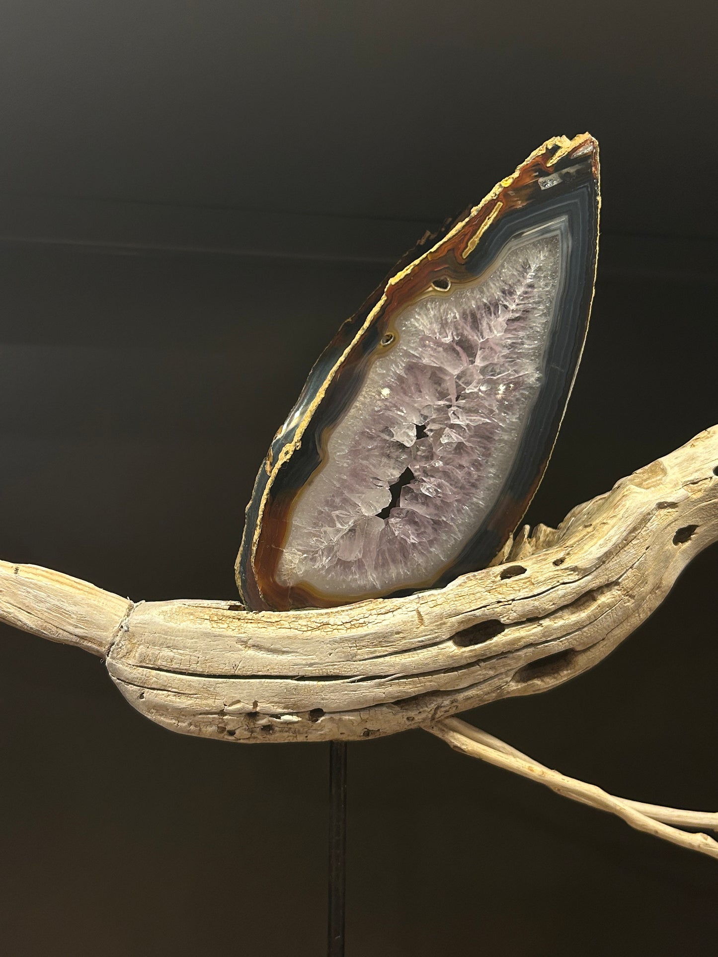 THE VOLARE COLLECTION VC 131