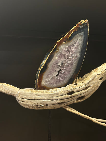 THE VOLARE COLLECTION VC 131